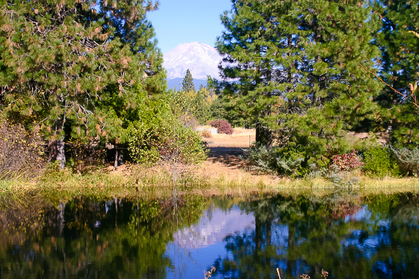 Private Pond